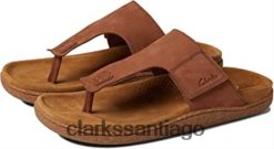 Clarks clarks pilton post nubuck tostado oscuro ZHDD042211 unisexo